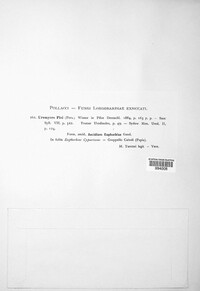 Image Associated With the Occurence
